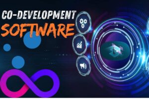 Co-Development Software