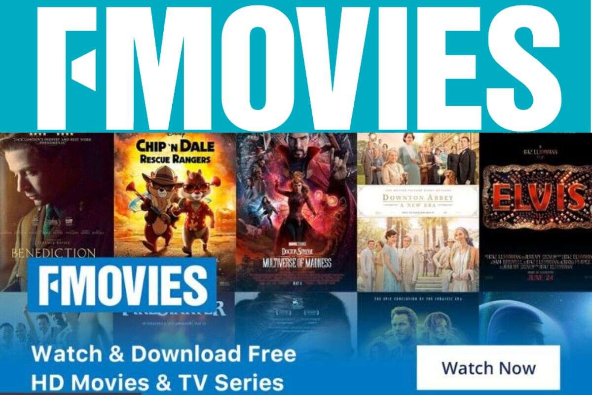 FMovies LLC