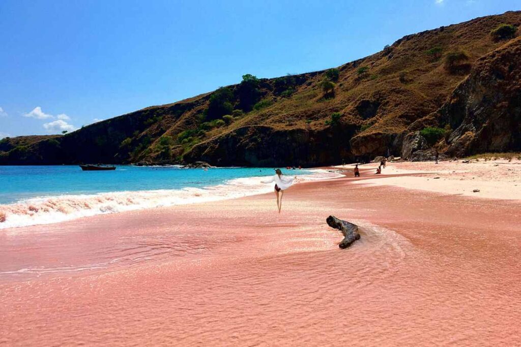 Pink Beach Komodo