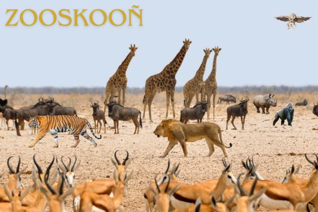 Zooskooñ